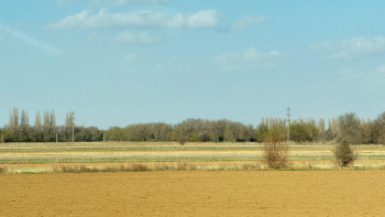Фотография к новости: Жетісудың туризм саласы қай деңгейде?