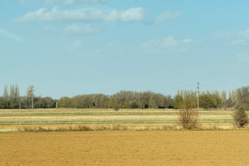 Фотография к новости: Жетісудың туризм саласы қай деңгейде?