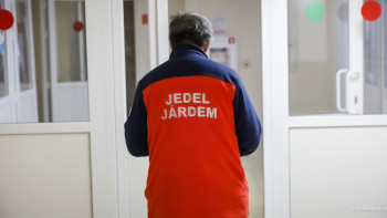 Фотография к новости: Жүргізуші әйел 2 жастағы бүлдіршінді қағып, мерт қылды