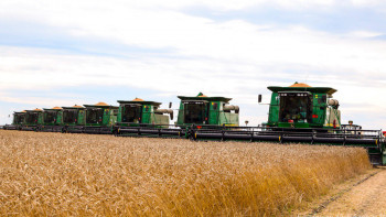 Фотография к новости: Үкімет еліміздің астық саласын қолдауға 40 млрд теңге бөлді