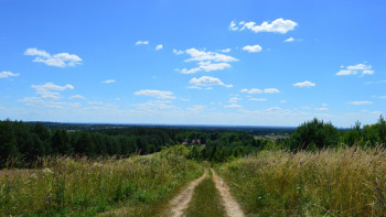 Фотография к новости: Атырау облысында кене қаптап, киік қырылып жатыр