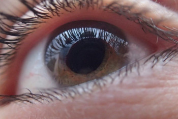 Фотография к новости: Көзге теріскен шығу ненің белгісі?