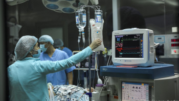 Фотография к новости: Қазақстандағы ең қымбат отаның құны белгілі болды