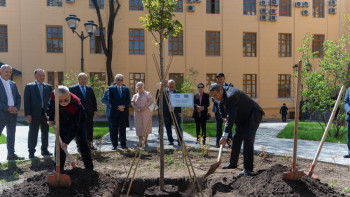 Фотография к новости: «Сәтбаев сакурасы» қайта жаңғыртылды