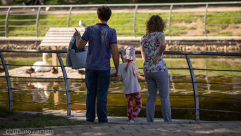 Фотография к новости: "Солтүстікке көш" жобасы әлеуметтік серпін бе, амалсыз шешім бе?