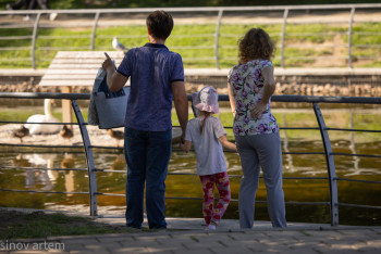 Фотография к новости: "Солтүстікке көш" жобасы әлеуметтік серпін бе, амалсыз шешім бе?