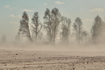 Иракта құмды дауыл салдарынан 4 мыңға жуық адам ауруханаға жеткізілді