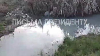 Фотография к новости: Алматы облысында қалдық сулар көлге төгіліп жатыр