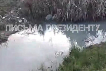 Фотография к новости: Алматы облысында қалдық сулар көлге төгіліп жатыр