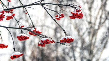 Фотография к новости: Қар, көктайғақ: бүгін елімізде ауа райы қандай болады