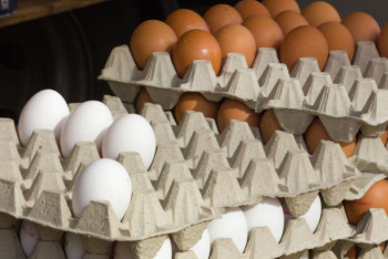 Фотография к новости: Елімізде жұмыртқа бағасы арзандады