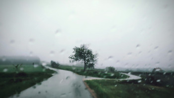 Фотография к новости: Найзағай, жауын-шашын, жел: синоптиктер бірнеше өңірде ескерту жасады