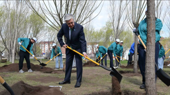 Фотография к новости: Президент "Жастар" саябағында ағаш отырғызды