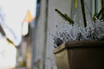 Фотография к новости: Қар жауып, үсік жүреді: 22 сәуірде ауа райы қандай болады