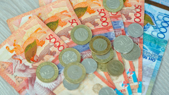 Фотография к новости: Сарапшы жәрдемақы мен зейнетақының көлемі туралы ойын айтты