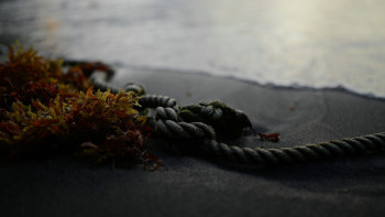 Фотография к новости: Астанада ҰҚК қызметкері өлі табылды