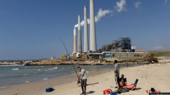 Фотография к новости: Израильде сирек кездесетін акула шабуылынан кейін ер адам жоғалып кетті