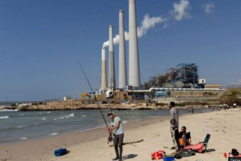 Фотография к новости: Израильде сирек кездесетін акула шабуылынан кейін ер адам жоғалып кетті