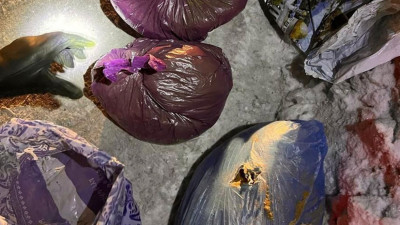 Есірткі өткізумен айналысқан үш азаматқа сот үкімі шықты