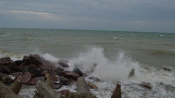 Фотография к новости: Депутат Каспий теңізінің жағдайы қиын екенін айтты