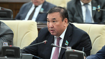 Фотография к новости: Депутат отандық фармацевтика өндірісін қолдауға шақырды