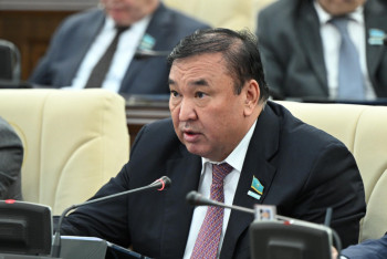 Фотография к новости: Депутат отандық фармацевтика өндірісін қолдауға шақырды