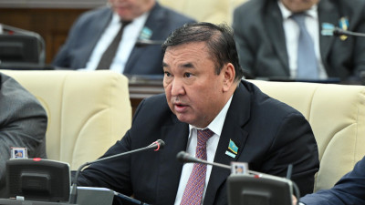 Депутат отандық фармацевтика өндірісін қолдауға шақырды