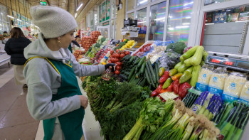 Фотография к новости: Көкөніс сапасын кім бақылайды?