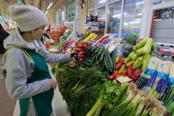 Фотография к новости: Көкөніс сапасын кім бақылайды?