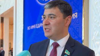 Фотография к новости: Мемлекеттің ішіне іріткі салу оңай – сенатор