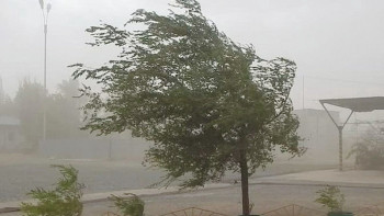 Фотография к новости: Қар жауып, үсік жүреді: синоптиктер дабылды ескерту жариялады