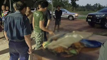 Фотография к новости: Ағаш арасында жүрген тұрғынға найғазай түсті