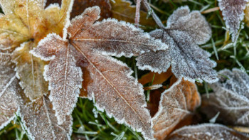 Фотография к новости: Қар жауып, үсік жүреді: синоптиктер бүгінге дабылды ескерту жариялады