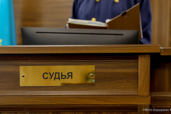 Кәмелетке толмаған екі қызын сириялық лаңкестерге күйеуге бермек болған ана қамалды