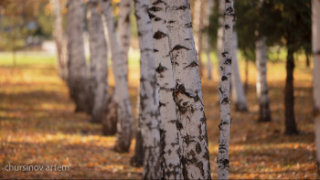 Фотография к новости: Ақтөбе облысының оқушылары ерекше жобаны қолға алды