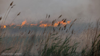 Фотография к новости: "Өрт болуы мүмкін". Қазгидромет қызыл аймақтағы 3 өңірді атады