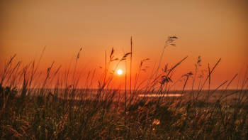 Фотография к новости: Елімізде 37 градусқа дейін ыстық күтілуде