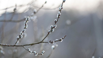 Фотография к новости: Аяз, қар: бүгін елімізде ауа райы қандай болады