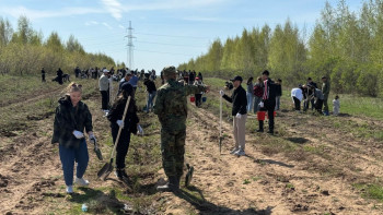Фотография к новости: Бүгін Бүкілқазақстандық орман отырғызу күні