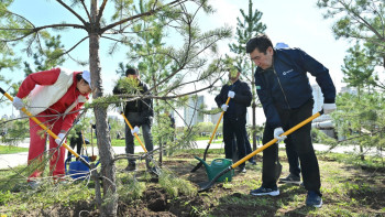 Фотография к новости: Мәжіліс депутаттары Астанада 100 түп ағаш отырғызды