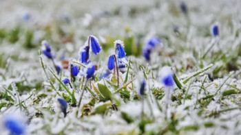 Фотография к новости: Түнде Қазақстанның бір өңірінде үсік жүреді
