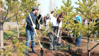 Фотография к новости: Астанада ауқымды жалпықалалық сенбілік басталды
