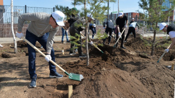Фотография к новости: Ерлан Қарин Ұлттық құрылтайдың мүшелерімен бірге ағаш отырғызды