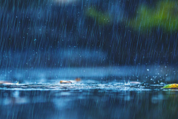 Фотография к новости: Бүгін еліміздің басым бөлігінде найзағай ойнап, жаңбыр жауады