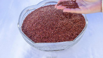 Фотография к новости: Жетісу облысы: Сарқан ауданында майлы зығыр өсіріле бастады