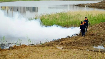 Фотография к новости: Астанада маса мен шіркейге қарсы дезинсекциялық жұмыс жүргізіліп жатыр