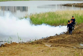 Фотография к новости: Астанада маса мен шіркейге қарсы дезинсекциялық жұмыс жүргізіліп жатыр