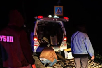 Фотография к новости: Батыс Қазақстанда автокөліктен 291 киік мүйізі табылды