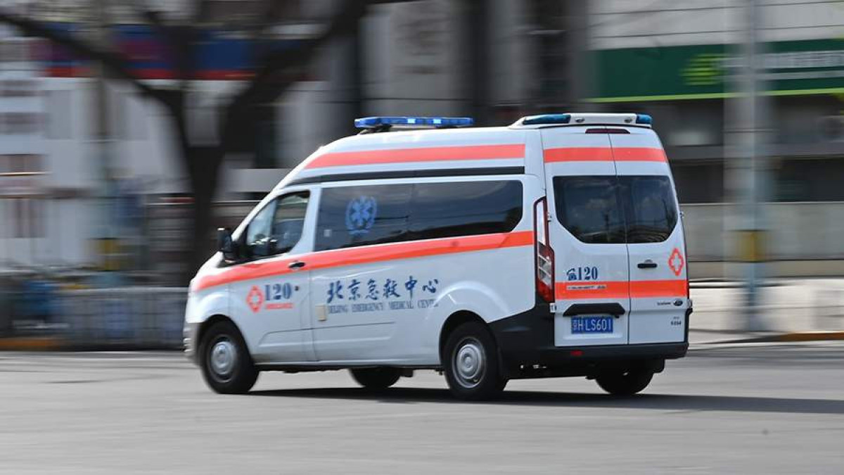  Global Look Press/Johannes Neudecker