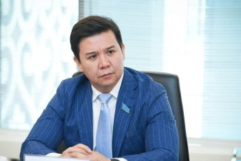 Фотография к новости: Түркістан облысында шыбын-шіркей қаптады